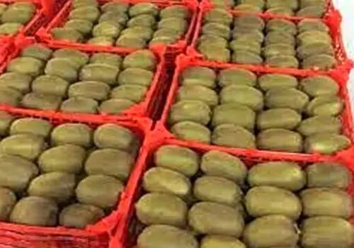 میان وعده‌ معجزه آسا برای سلامت گوارش