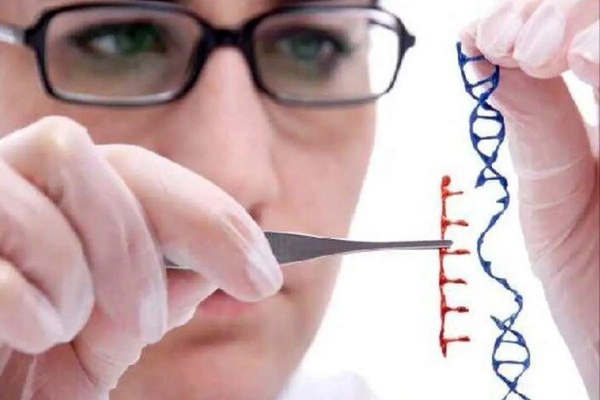 دستاوردهای تحقیقات علمی‌درباره ژنتیک انسان/بزرگ‌ترین پروژه‌ی علمی جهان