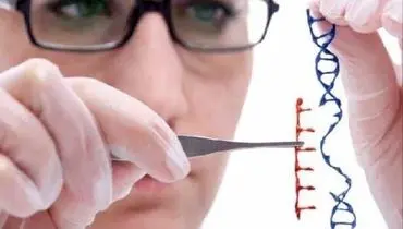 دستاوردهای تحقیقات علمی‌درباره ژنتیک انسان/بزرگ‌ترین پروژه‌ی علمی جهان