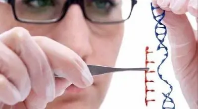 دستاوردهای تحقیقات علمی‌درباره ژنتیک انسان/بزرگ‌ترین پروژه‌ی علمی جهان