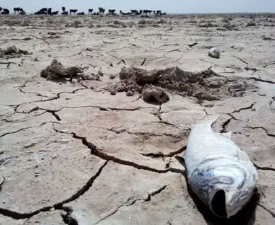 خشکسالی گریبانگیر خاورمیانه شد/ فقر آبی در راه است