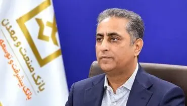 دکتر شایان: بنگاه سازی رویکرد اصلی بانک صنعت و معدن در حمایت از تولید است
