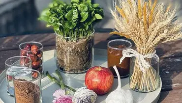۱۰ مدل سبزه جذاب برای عید ۱۴۰۳؛ پیشنهادی ویژه به عروس ها+ تصاویر