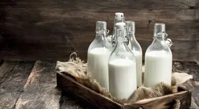 قبل از خواب، شیر گرم بخوریم یا سرد؟