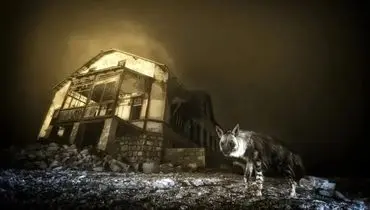 تصویری وهم‌انگیز که پس از ۱۰ سال انتظار گرفته شد+ عکس