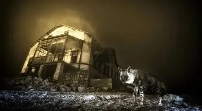 تصویری وهم‌انگیز که پس از ۱۰ سال انتظار گرفته شد+ عکس