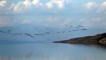 حال خوش این روزهای دریاچه ارومیه +فیلم