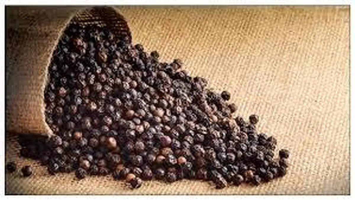 ادویه معجزهآسای ضد نقرس چیست؟