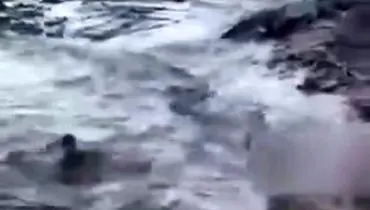 لحظه نجات یک کودک از رودخانه در سیل پشترود بم+ فیلم