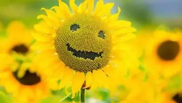 8 روش ساده برای جذب انرژی مثبت