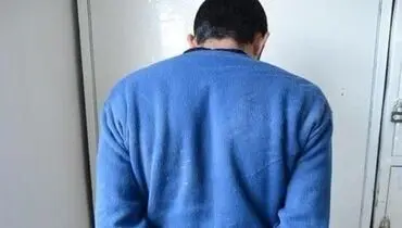 زمین‌گیر شدن اراذل فراری توسط پلیس امنیت عمومی فراجا
