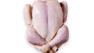 هشدار درباره جهش نجومی قیمت مرغ؛ احتمال رسیدن هر کیلو به ۴۰۰ هزار تومان