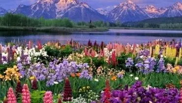 شهرهای توریستی ایران کدامند ؟
