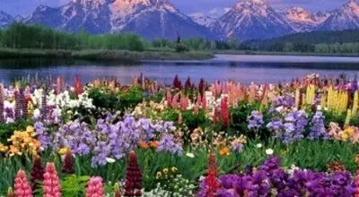 شهرهای توریستی ایران کدامند ؟
