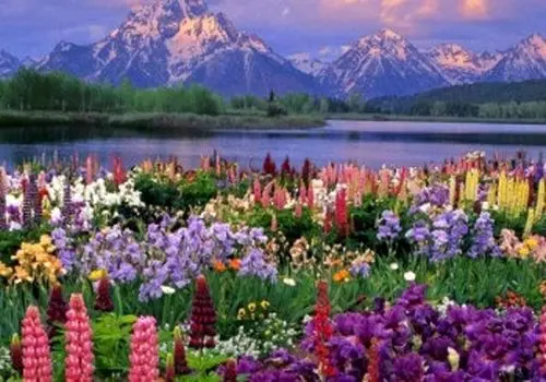 شهرهای توریستی ایران کدامند ؟
