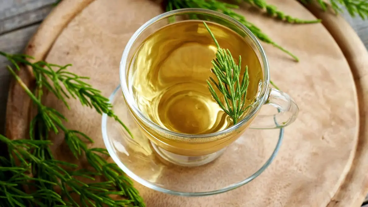 7 فایده شگفت‌انگیز چای دم‌اسبی 