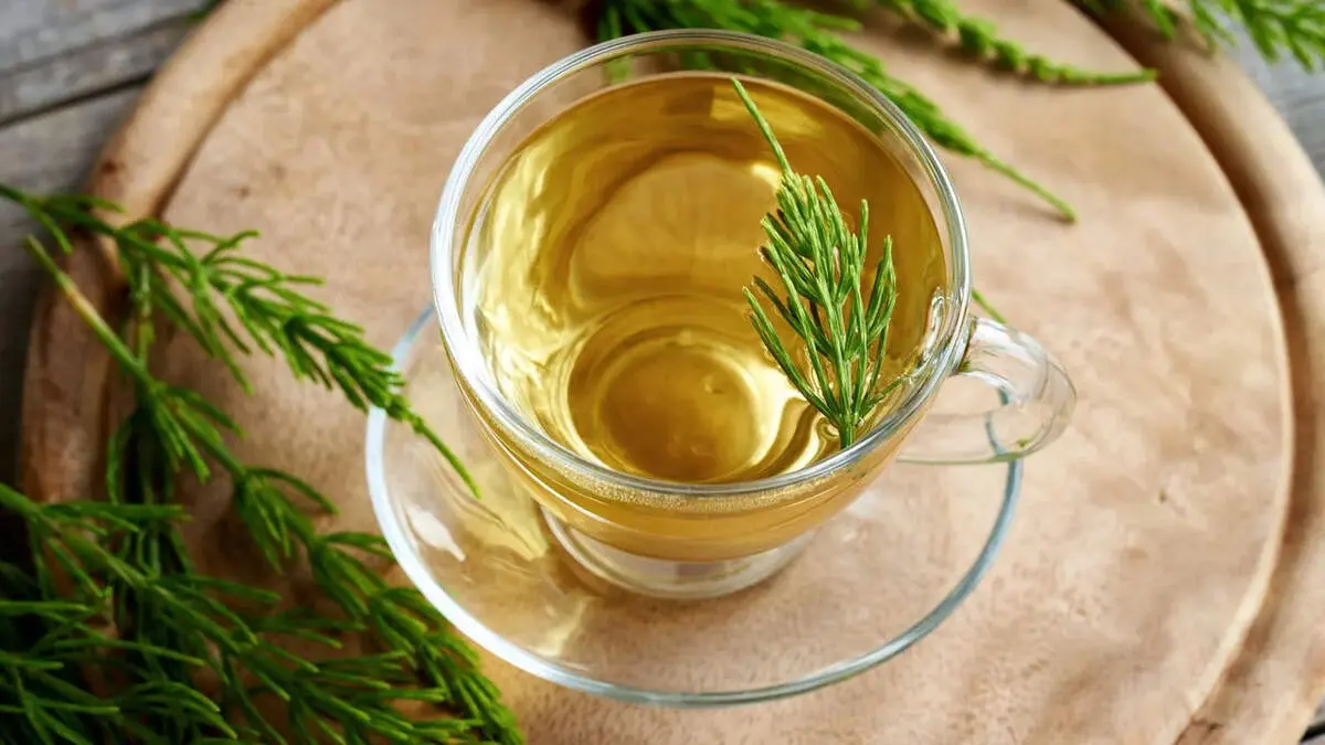 7 فایده شگفت‌انگیز چای دم‌اسبی 