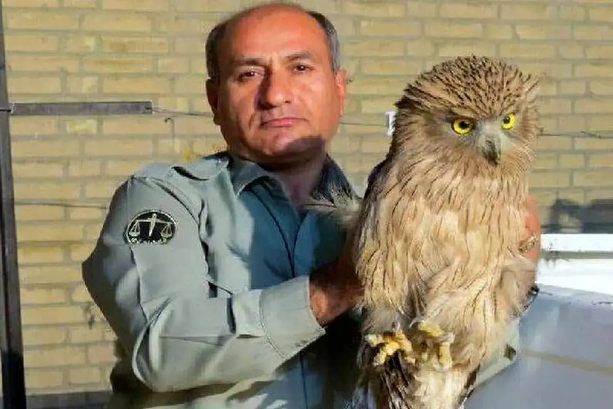 دستور دادستانی در خصوص شناسایی عاملان قتل «هدایت الله دیده‌بان» محیط‌بان در کوه خاییز