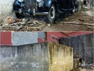 شاهکارهای سه‌بعدی نقاش پرتغالی + عکس