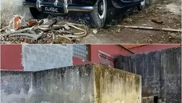 شاهکارهای سه‌بعدی نقاش پرتغالی + عکس