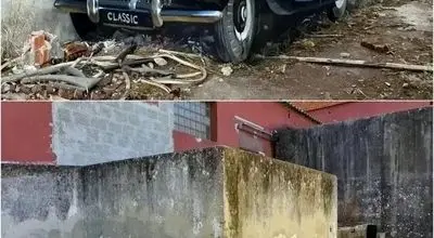 شاهکارهای سه‌بعدی نقاش پرتغالی + عکس