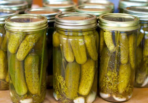 طرز تهیه تست بادمجان و قارچ/ غذای ساده و بدون گوشت برای شام

