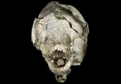 راز مخفوف تدفین های عجیب با جمجمه کودکان در تمدن گوآنگالا + عکس
