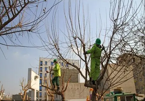 نقش تصویر شهید دوران روی دیوار متروی شهری شیراز+ فیلم