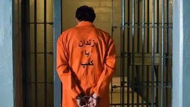 افشای جنایتی تکان‌دهنده در کمپ‌های ترک اعتیاد؛ فراموشخانه بیماران و سکوت نهادهای نظارتی