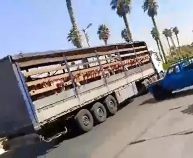 جابجایی دانش‌آموزان یک مدرسه در جهرم با تریلی کانتینردار!+ فیلم