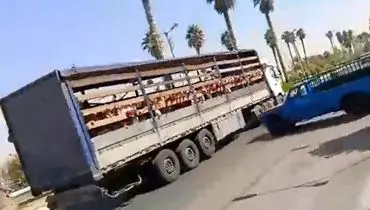 جابجایی دانش‌آموزان یک مدرسه در جهرم با تریلی کانتینردار!+ فیلم