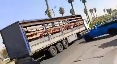 جابجایی دانش‌آموزان یک مدرسه در جهرم با تریلی کانتینردار!+ فیلم