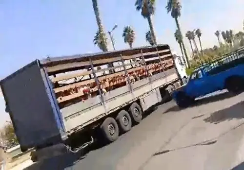 وضعیت دانش‌آموزان بازداشت شده در حوادث اخیر