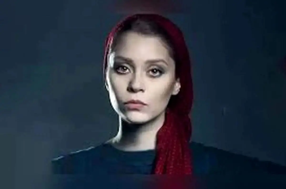 شادی کرم‌رودی: توییت‌های اخیرم درباره‌ی آرین وزیردفتری نبود