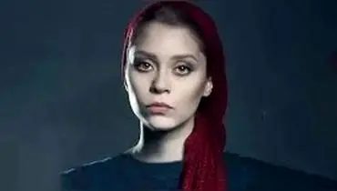 شادی کرم‌رودی: توییت‌های اخیرم درباره‌ی آرین وزیردفتری نبود