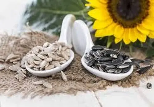 علت های پنهانی که سلامت مغز را تهدید می کنند