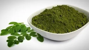 خواص  بی‌نظیر گیاه سدر برای پوست و مو