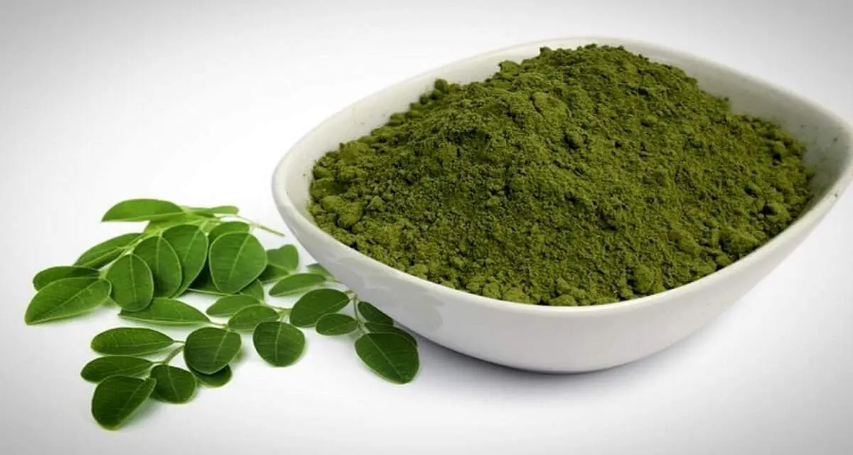 خواص  بی‌نظیر گیاه سدر برای پوست و مو