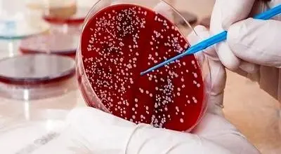 نسل نو ژن‌درمانی، بیماران سرطان خون را نجات داد

