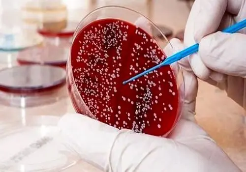 نسل نو ژن‌درمانی، بیماران سرطان خون را نجات داد

