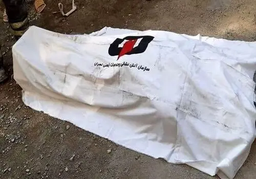 پیرمرد ۸۰ساله‌ای که عاشق گیتی خامنه شد!
