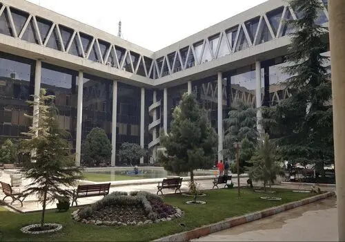 واکنش برانکو به درگذشت سعید راد +عکس
