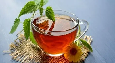 نوشیدنی‌های گیاهی برای آرامش و سلامتی