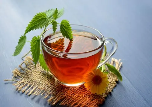 داروهای گیاهی می‌توانند عارضه داشته باشند/ منع مصرف داروهای گیاهی در زنان باردار

