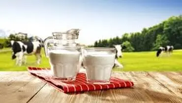 نوشیدن شیر برای تب خوب است یا بد؟
