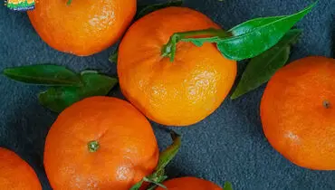 رنگ کردن مرکبات از شایعه تا واقعیت؛اعتراف تلخ در مورد رنگ کردن پرتقال/ویدیو 
