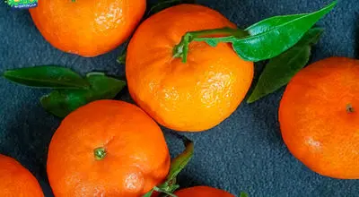 رنگ کردن مرکبات از شایعه تا واقعیت؛اعتراف تلخ در مورد رنگ کردن پرتقال/ویدیو 