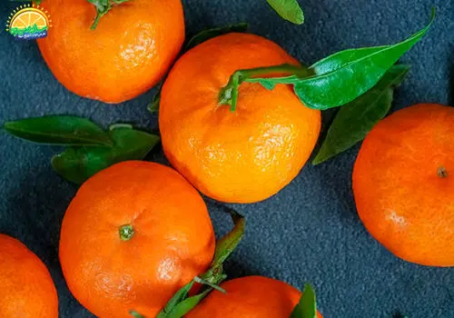 رنگ کردن مرکبات از شایعه تا واقعیت؛اعتراف تلخ در مورد رنگ کردن پرتقال/ویدیو 