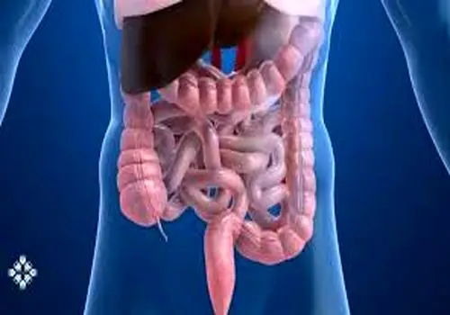 پاکسازی طبیعی روده بزرگ با این ۷ ماده غذایی ساده
