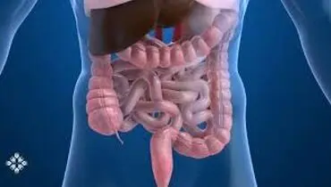 پاکسازی طبیعی روده بزرگ با این ۷ ماده غذایی ساده

